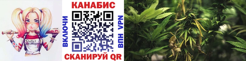 Бошки марихуана Amnesia  закладка  площадка какой сайт  Нестеровская 